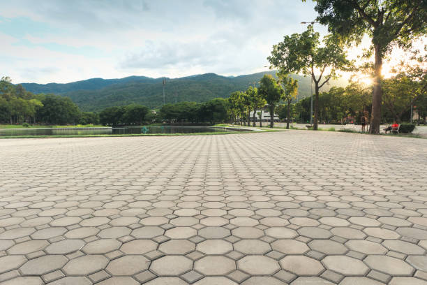 Best Driveway Paver Sealing  in Marshville, NC